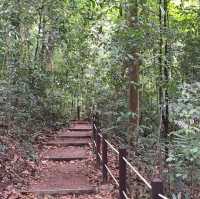 Monthly Hiking at Bukit Timah Hill 🇸🇬