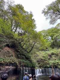 【軽井沢町】自然を楽しむ無料スポット白糸の滝🌿‬