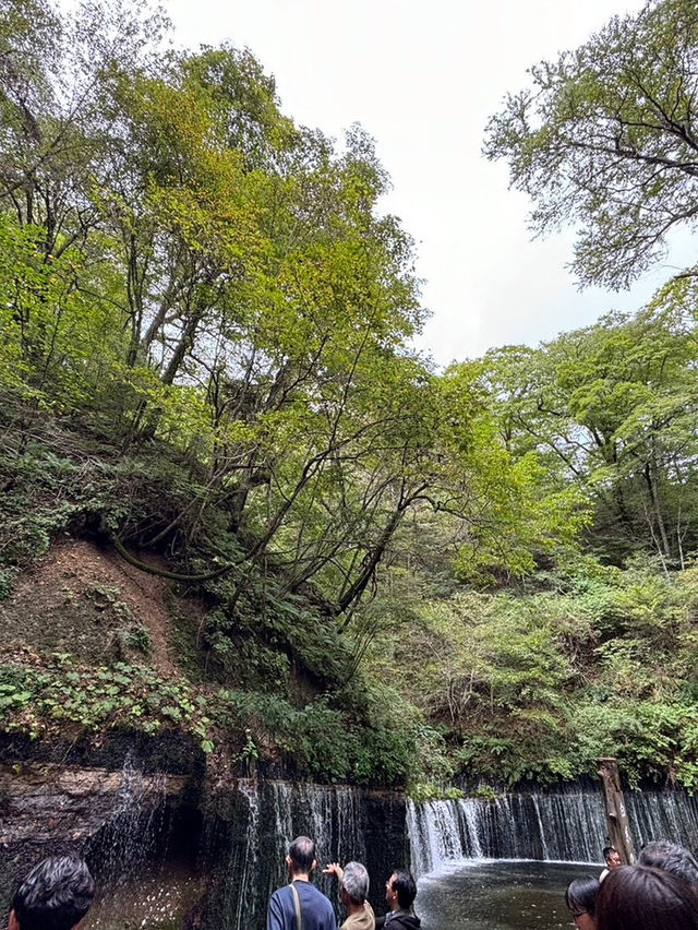 【軽井沢町】自然を楽しむ無料スポット白糸の滝🌿‬