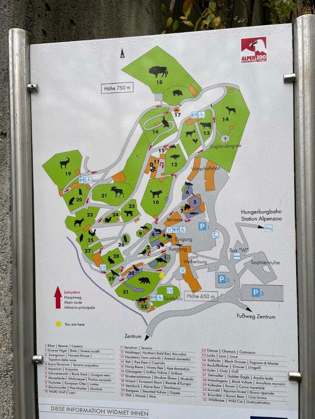 奧地利因斯布魯克動物園