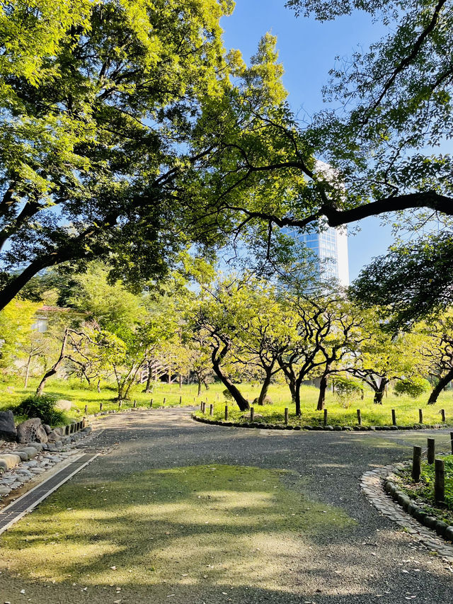 【東京都】東京タワー周辺をレンタサイクルで楽しむ！