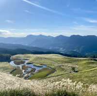 奈良旅行