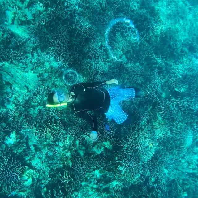 Diving in Similan