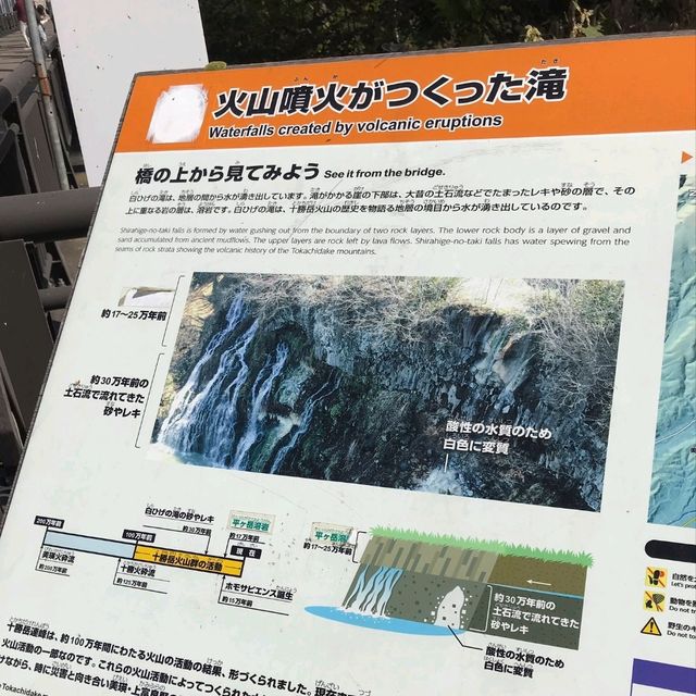 美瑛景點｜夏季美瑛必訪夢幻絕美景色—白須瀑布(白ひげの滝)