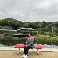 名古屋とは思えない？！緑豊かな白鳥庭園🌳