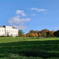 Photos of Golden Autumn (UK Uxbridge)