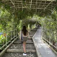 Baguio Botanical Garden: 