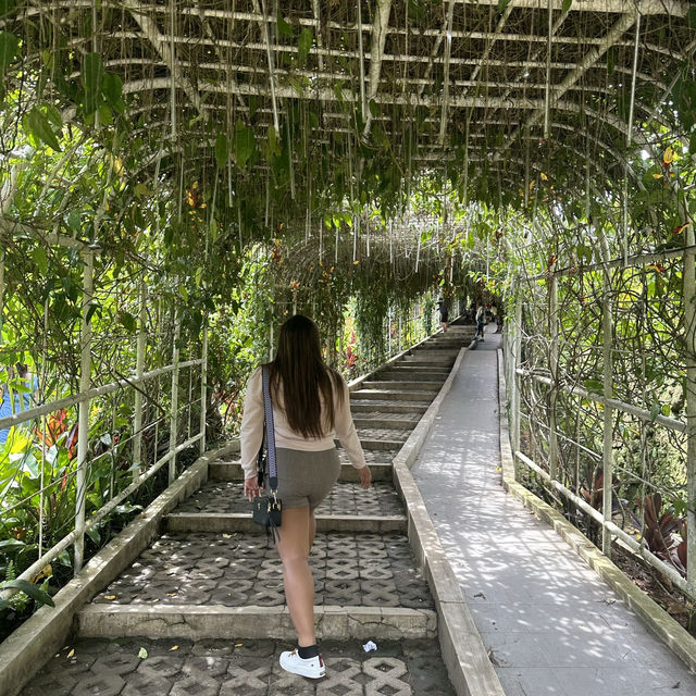 Baguio Botanical Garden: 