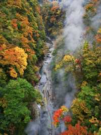 【秋田】橋の上から見る紅葉の景色は圧巻‼️東北トップクラスの紅葉スポット✨※攻略付き