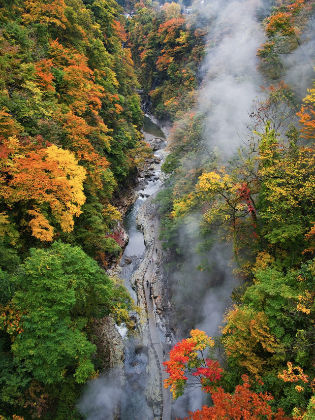 【秋田】橋の上から見る紅葉の景色は圧巻‼️東北トップクラスの紅葉スポット✨※攻略付き