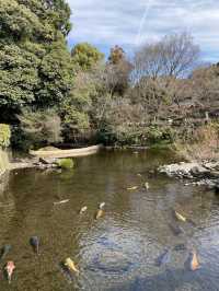 《熊本水前寺成趣園》：尋找寧靜與自然之美的心靈之旅