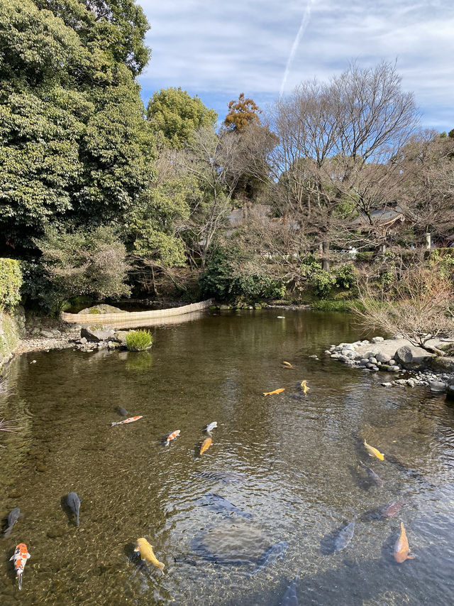 《熊本水前寺成趣園》：尋找寧靜與自然之美的心靈之旅