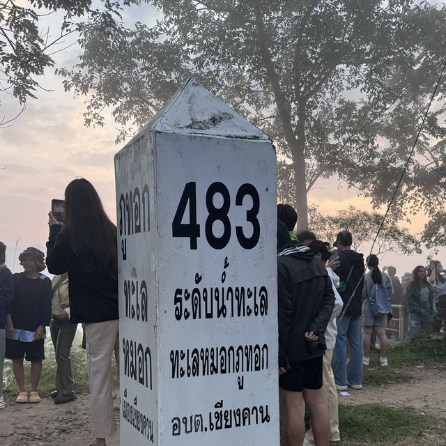 🏜️ชมพระอาทิตย์ขึ้น และทะเลหมอก ภูทอก