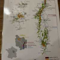 Dijon France. Famous for its vineyards and night bars 