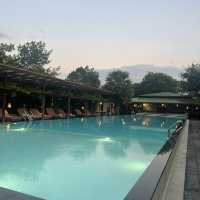 Simple Pleasures in Nature