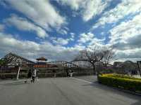 龍の神様？ジュピター神社