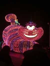 日本🇯🇵東京 - Tokyo DisneyLand 