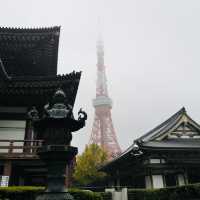 Sky-High Thrills and Picture-Perfect Moments at Tokyo Tower!