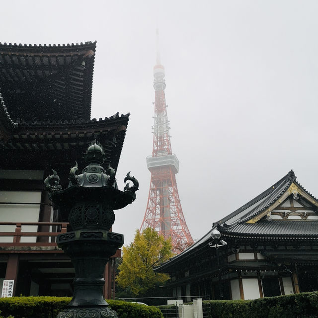 Sky-High Thrills and Picture-Perfect Moments at Tokyo Tower!
