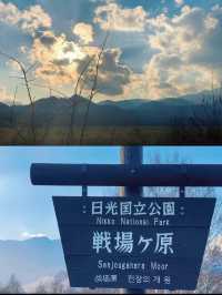秋の絶景🍁🍂見に行くならここがおすすめ🤩🤎🧡