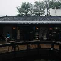 Romance & Scenic Charm: My Magical Day at Nami Island!