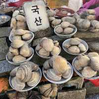 🌟第一次來釜山必買Visit Busan Pass🌟