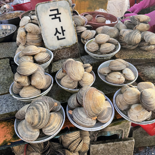 🌟第一次來釜山必買Visit Busan Pass🌟
