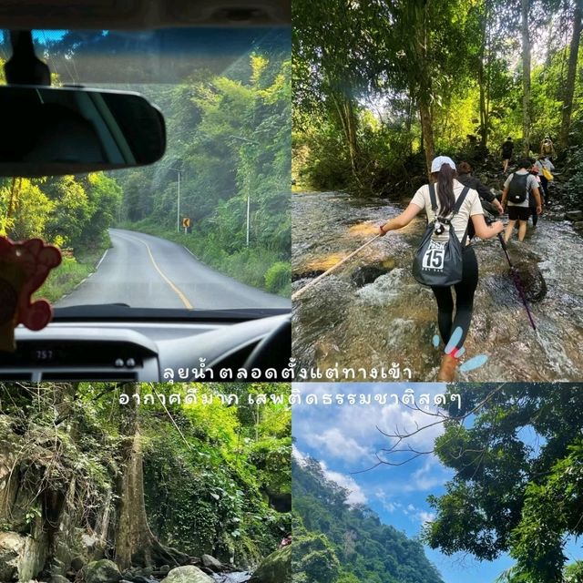 🍄One day trip สระบุรี - น้ำตกโกรกอีดก 🌳