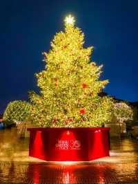 東京イルミ🥹✨恵比寿ガーデンプレイス✨🎄バカラのシャンデリア💡