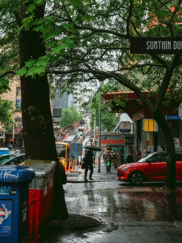 紐西蘭最大的城市——奧克蘭