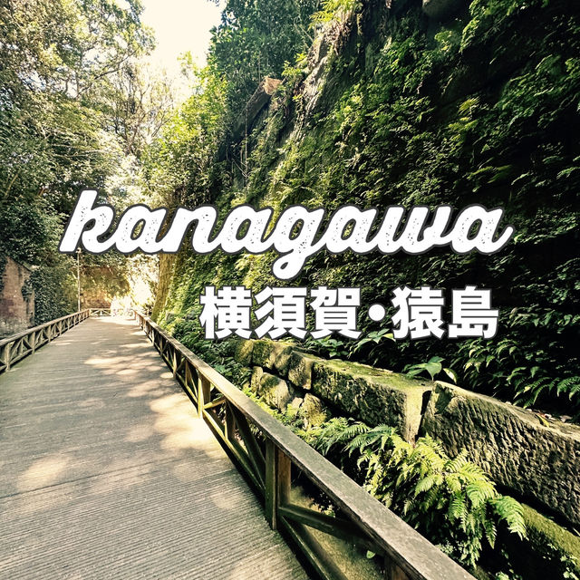 【横須賀・猿島】まるでジブリの中に出てきそうな自然公園 【横須賀・猿島】まるでジブリの中に出てきそうな自然公園