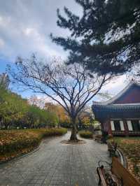 여유로움이 느껴지는 대구 히든 플레이스 경상감영공원🌿