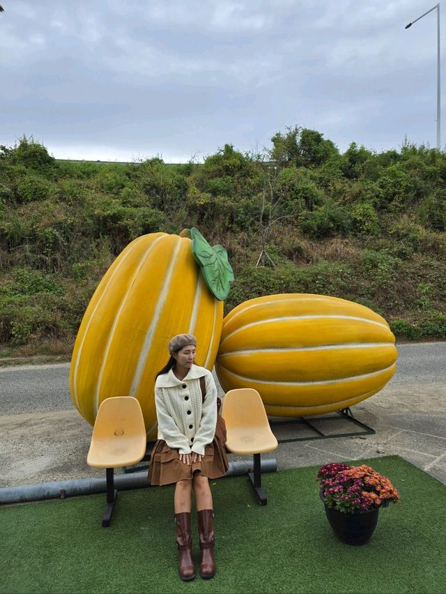 세상 귀여운 포토존이 가득한 성주카페💛
