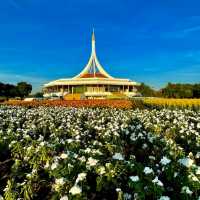 พรรณไม้งามอร่าม ณ สวนหลวง ร.๙