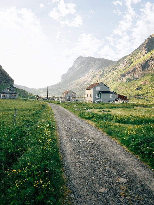 Camping in Lofoten: A Nordic Adventure Like No Other