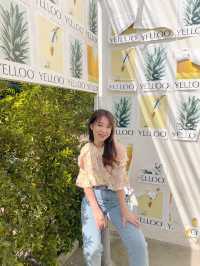 💛YELLOO คาเฟ่ใจกลางนิมมาน
