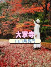 山口県古刹😊紅葉名所🍁大寧寺🍁たいねいじ