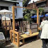 Edo wonderland 