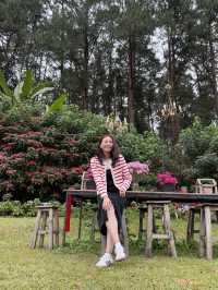 🎄22 Aquarius Glamping Cafe คาเฟ่บนดอยอินทนนท์