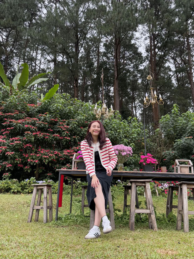 🎄22 Aquarius Glamping Cafe คาเฟ่บนดอยอินทนนท์