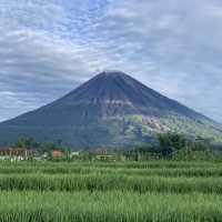 世外桃源塞梅魯火山推薦