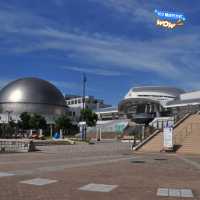 名古屋旅遊～名古屋水族館