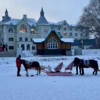 VOLGA MANOR:Harbin 🇨🇳