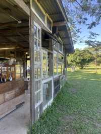 🌳คาเฟ่ลับในป่า “FAR AWAY“ ใกล้ตัวเมือง