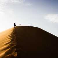 【大地の洗礼】サハラ砂漠🏜️