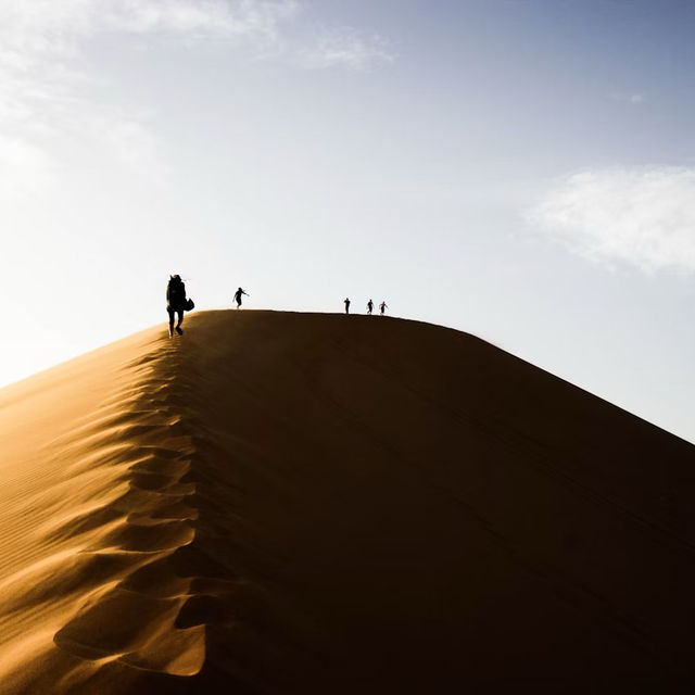 【大地の洗礼】サハラ砂漠🏜️