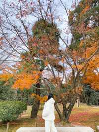 日本景點🇯🇵綠茶一條街值得逛半天！