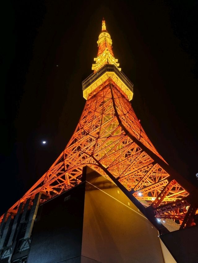 도쿄의 랜드마크! 도쿄타워🗼
