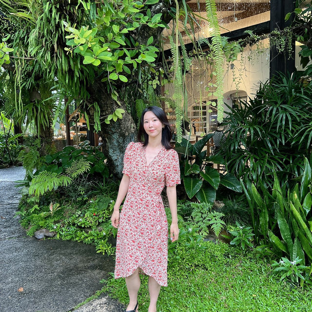 방콕 파톰 카페 _ 오가닉 컨셉의 자연적인 카페 🌿