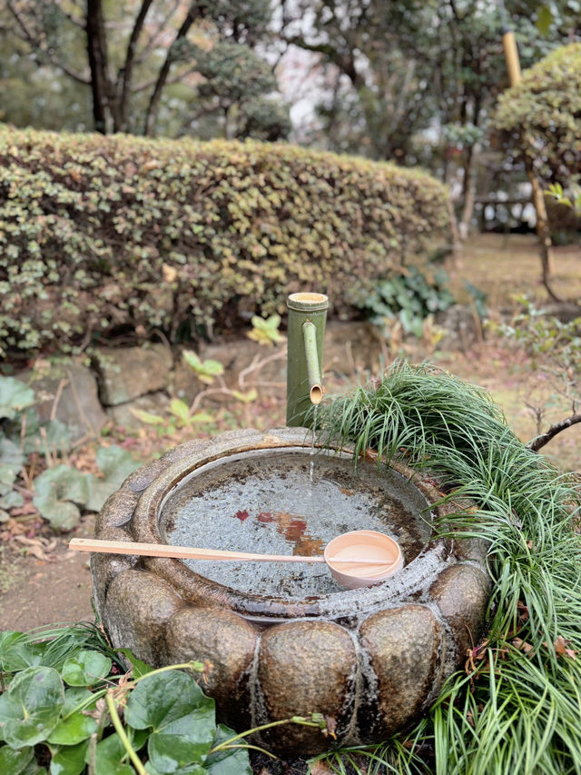 【栃木】猫好きさんには行ってほしい‎🤍御朱印がとても素敵な神社⛩✨